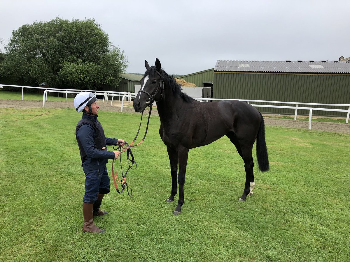 Vic Laws MBE tweet media