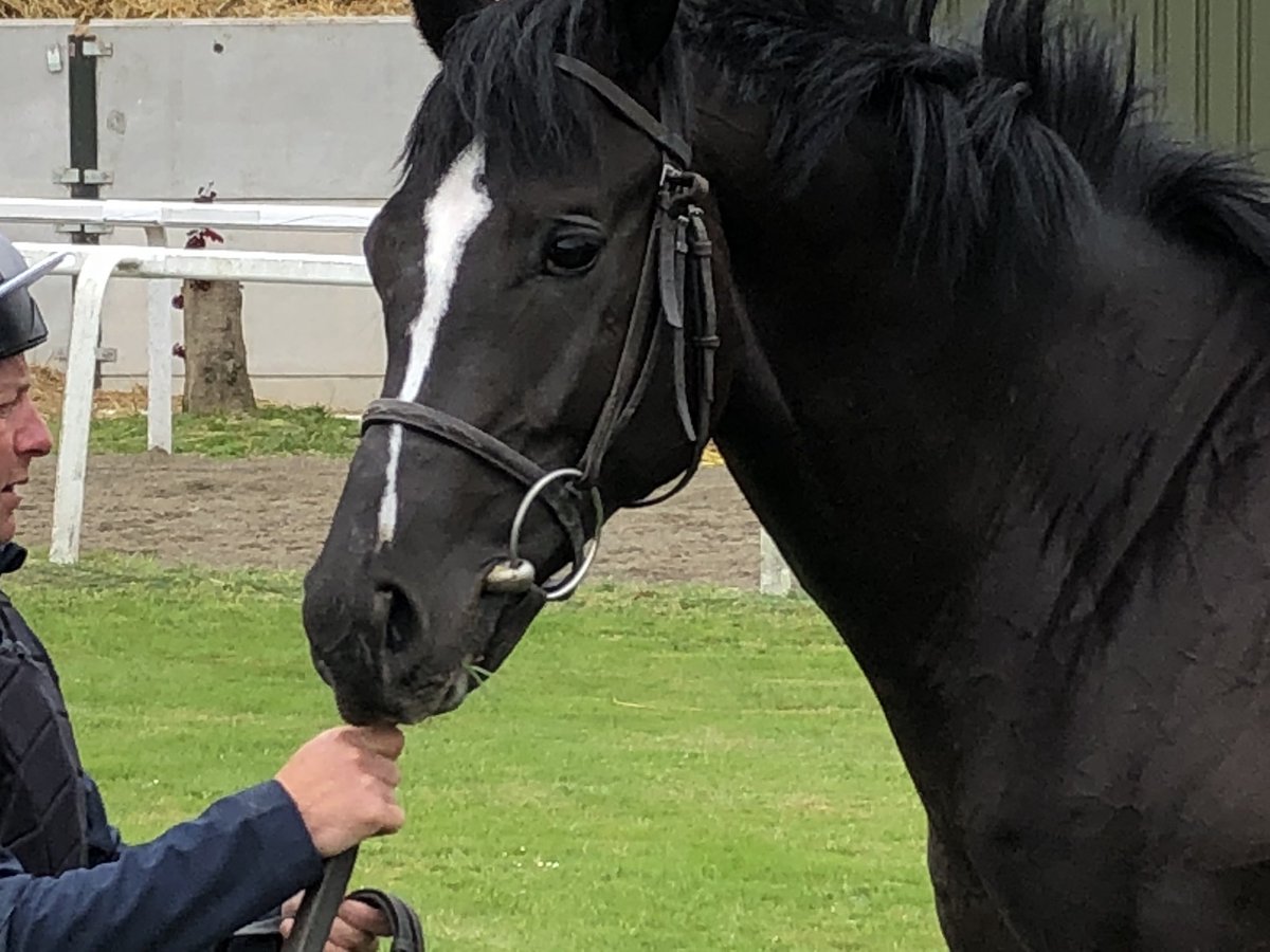 Vic Laws MBE tweet media