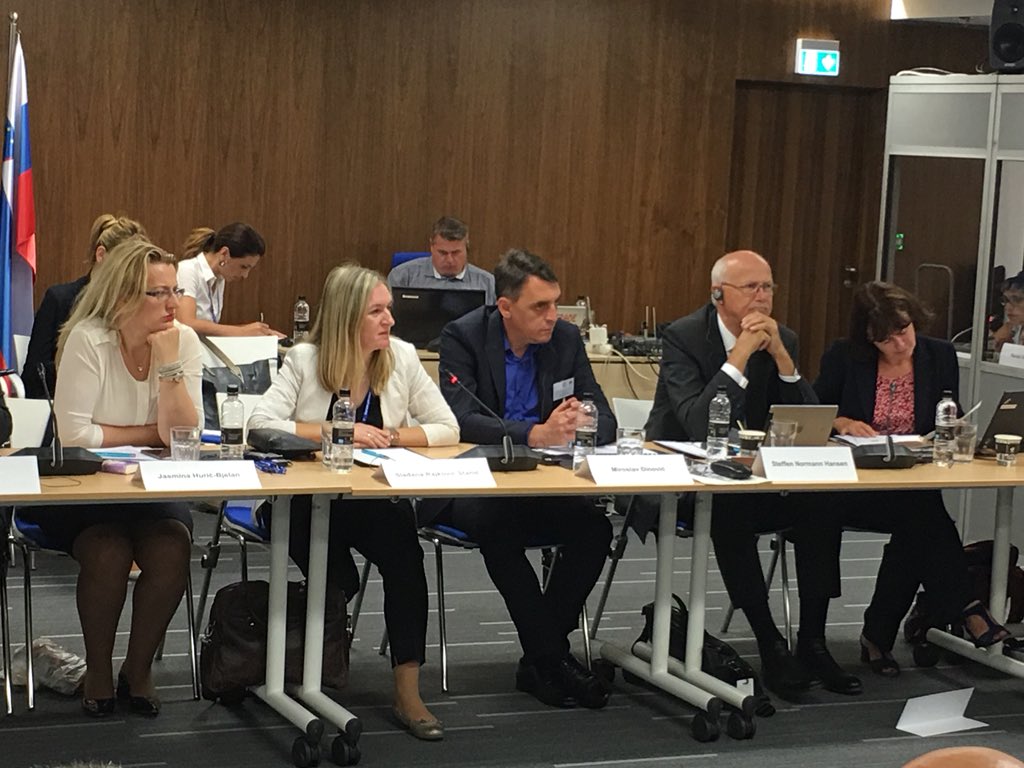 z_dijana's tweet photo. What challenges do we face in strengthening financial institutions? How important is sharing lessons learnt? We’ve adressed HR, staff motivation, learning&amp; training, coordination&amp;synergy, transparency in managing business processes @CEF_Ljubljana @imfcapdev @eu_near #IMFECSEE18 https://t.co/rDM3cVeqHC