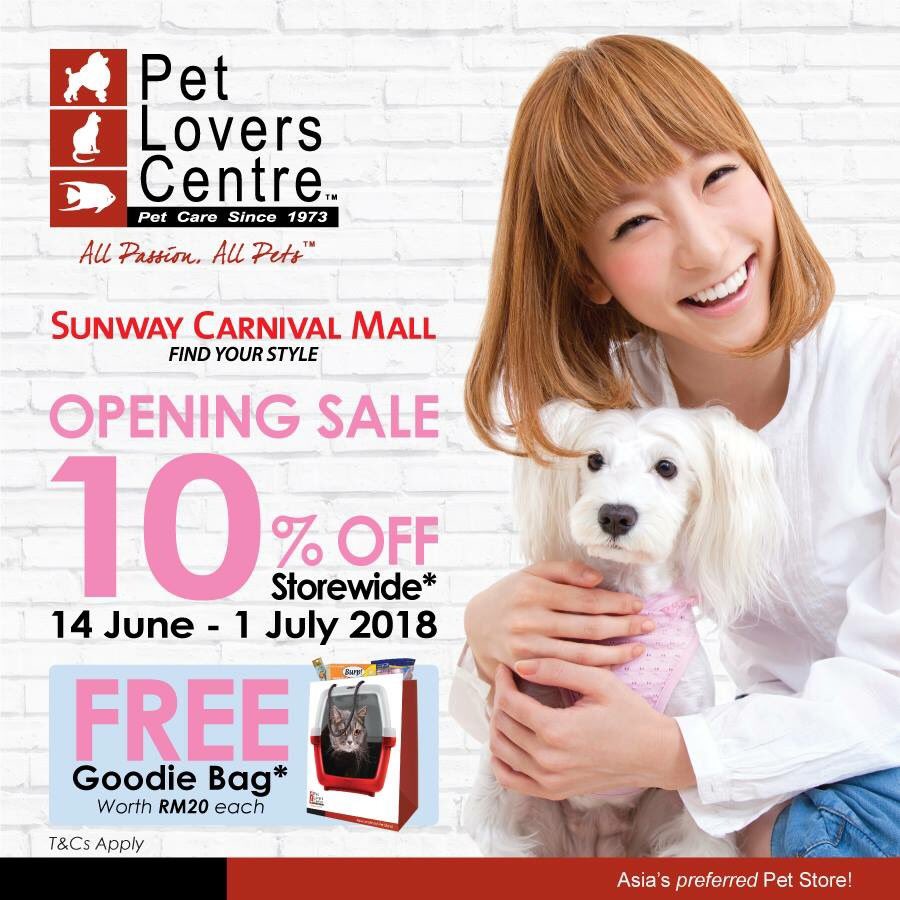 pet lovers centre dogs for sale
