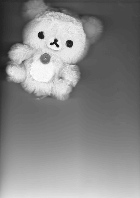 ぬいぐるみをのtwitterイラスト検索結果 古い順