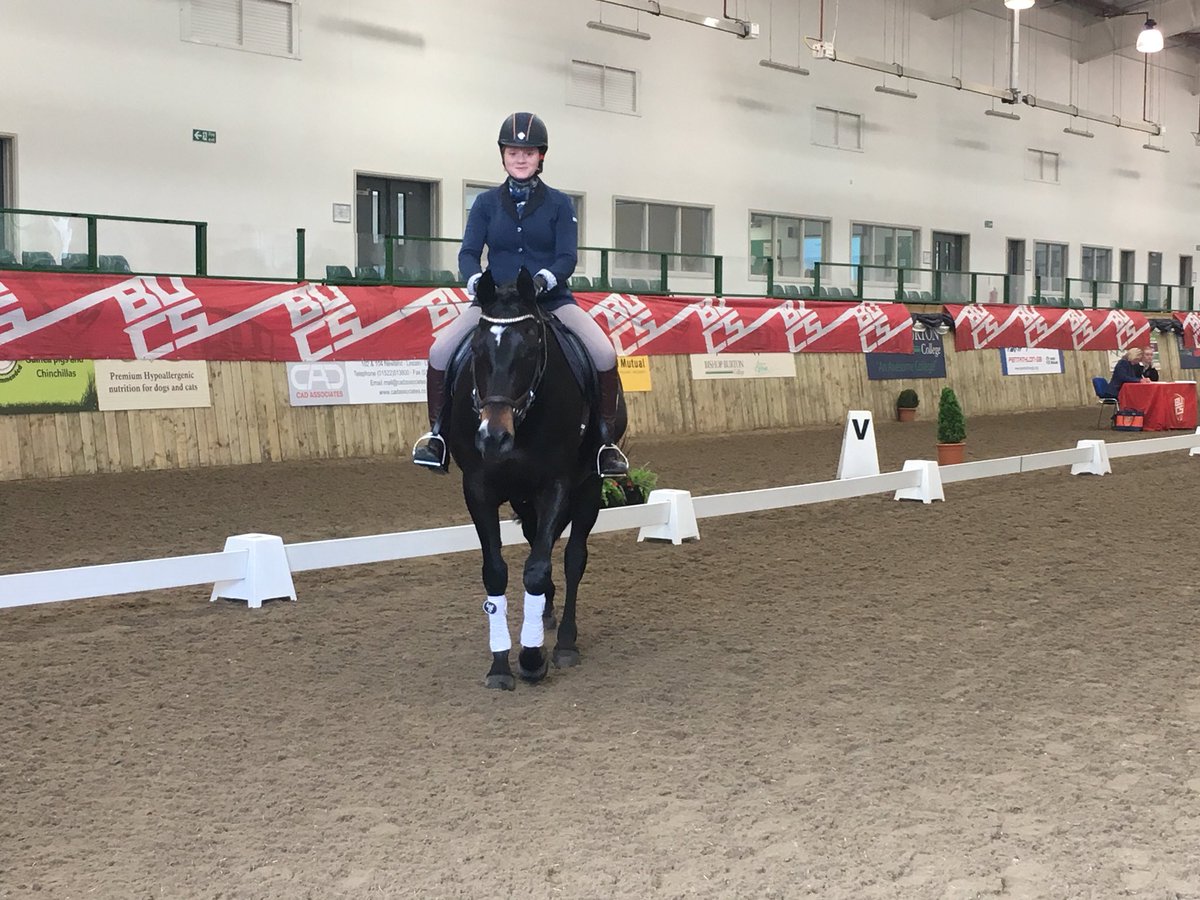 BUCSsport's tweet photo. #BUCSEquestrian | 🐴 It’s crunch time in the dressage as the top riders aim for a place in the finals
👉📊Results so far https://t.co/vdk8H5yhNs https://t.co/i1HKAmDzcd