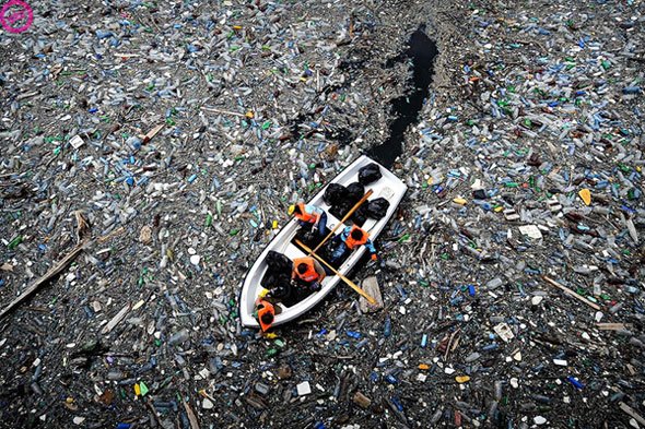 What have you done to this planet
Humans 
#plasticdebris
#WorldEnvironmentDay