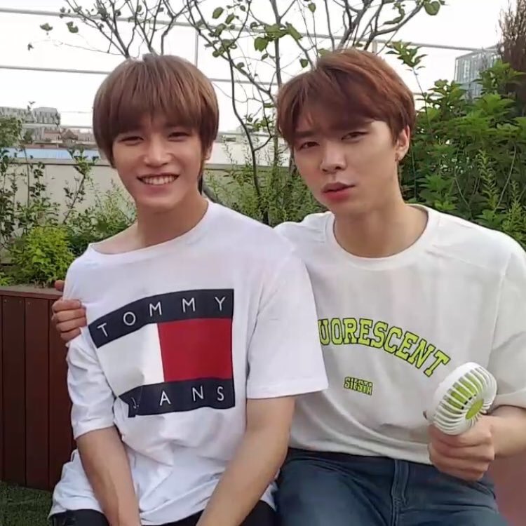 taeyongiskitty's tweet photo. 💗💛💚 https://t.co/WJK7UR0q9t
