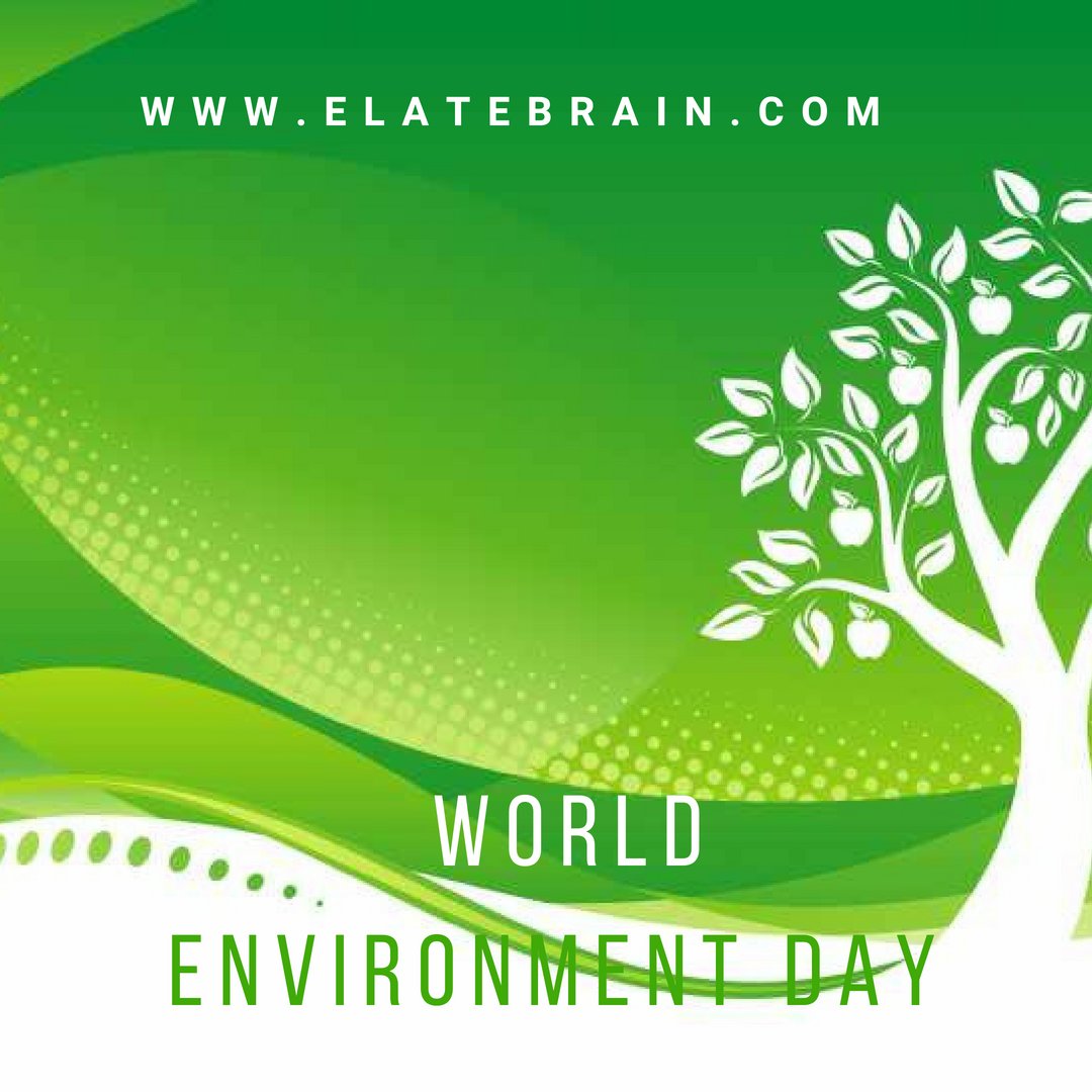 elatebrain's tweet photo. #elatebrain #WorldEnvironmentDay
#Hire dedicated development partners #Banks #finance company #ecommarce #multiple #business https://t.co/ILS7A2PyeK
