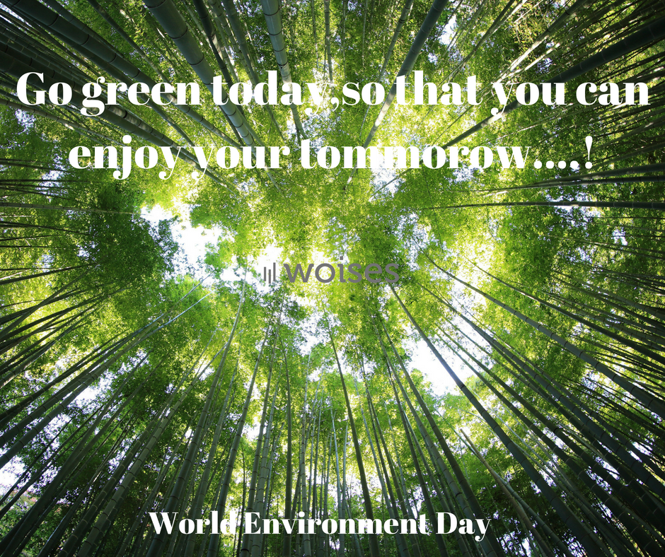 allwoises's tweet photo. Go green..
Celebrating "World Environment Day".
Visit now https://t.co/gxRTGng2Js https://t.co/Bnbq9h8E23