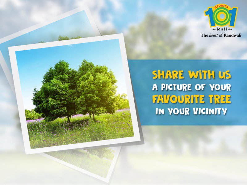 #ContestAlert 
Celebrate #WorldEnvironmentDay with Growel's 101! Share with us a picture of your 'Favorite Tree' in your vicinity and get exciting prizes! #EnvironmentDay #GreenMumbai #Growels101 
Note: The participant is required to tag, like, comment & share the post