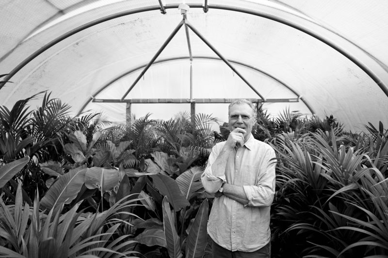 Portrait of Martin Gibbons by <a href="/catgarciaphoto/">Cat Garcia</a>. Martin Gibbons is the founder of <a href="/ThePalmCentre/">The Palm Centre</a>, set within the original Kitchen Gardens of Ham House near Richmond, to see more from this series > ow.ly/JOKl30kitPL