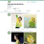 シンクロ率が半端ねぇ!　スケート宇野昌磨選手とある動物の類似画像集が面白すぎる!