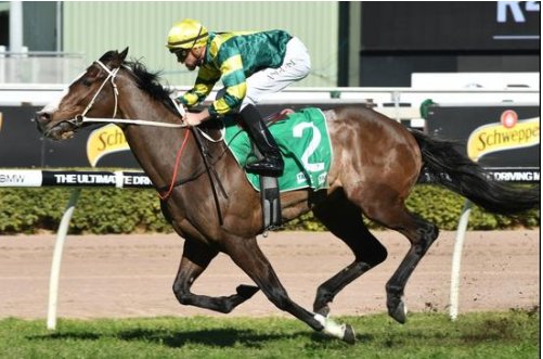dynamicodds's tweet photo. Care To Think due for better barrier luck; 
'Care To Think doesn't have to go back. If there is no pace inside him he can roll forward and get a good position. It is a matter of where he draws.' @mattydunnracing https://t.co/FaJhBwjKyT #Stradbroke @brissyraces https://t.co/gCi8IQ5yBk