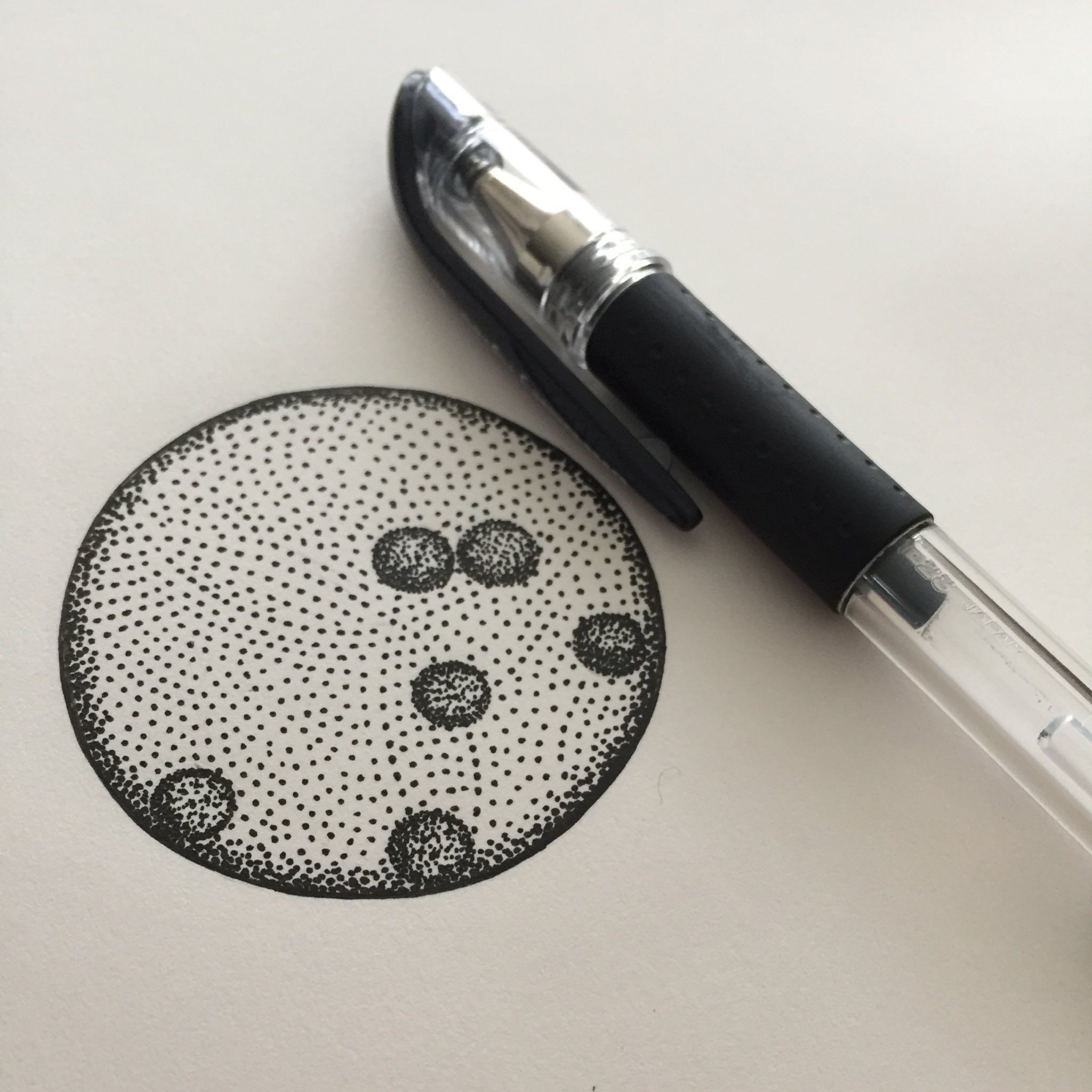 ジンボアユミ Twitterren ボルボックス