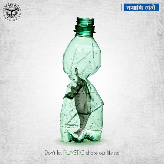 It’s plastic vs. dying biodiversity 
What do you choose?
#WorldEnvironmentDay #BeatPlasticPollution #CleanGanga #SaveGanga