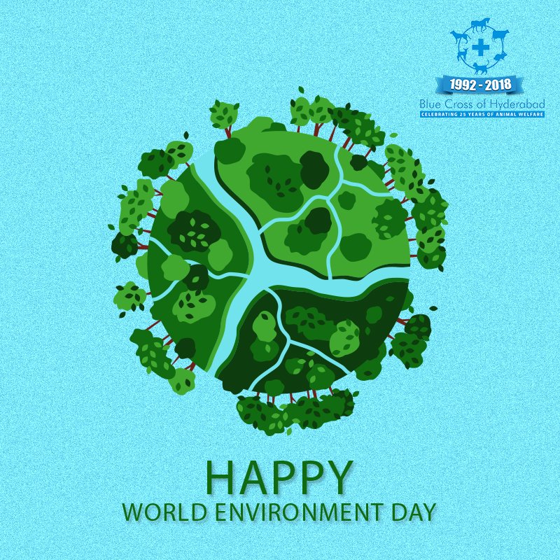 Blue Cross Hyderabad (bluecrosshyd) Twitter