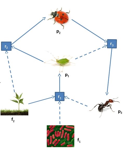 Wandering Wim tweet media