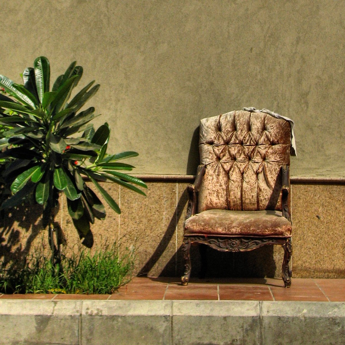 mogabel's tweet photo. #chair #seat #decore #green #jeddah #abandon_seekers #abandoned_junkies #grimelords #grime_lords #grime_nation #icons_of_filth #kings_abandoned #outcastamerica #rustlord #trailblazers_rurex #mycitysfilthy #filthyfeeds #ic_urbex #window_filth #sundoors #doorsandwindows https://t.co/M3xVY37fuv