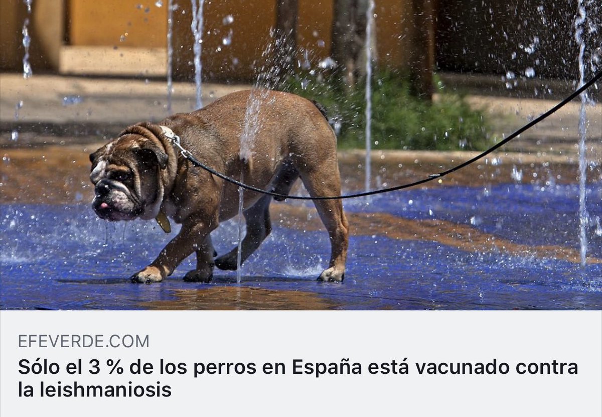 #preguntaentuclinicaveterinaria