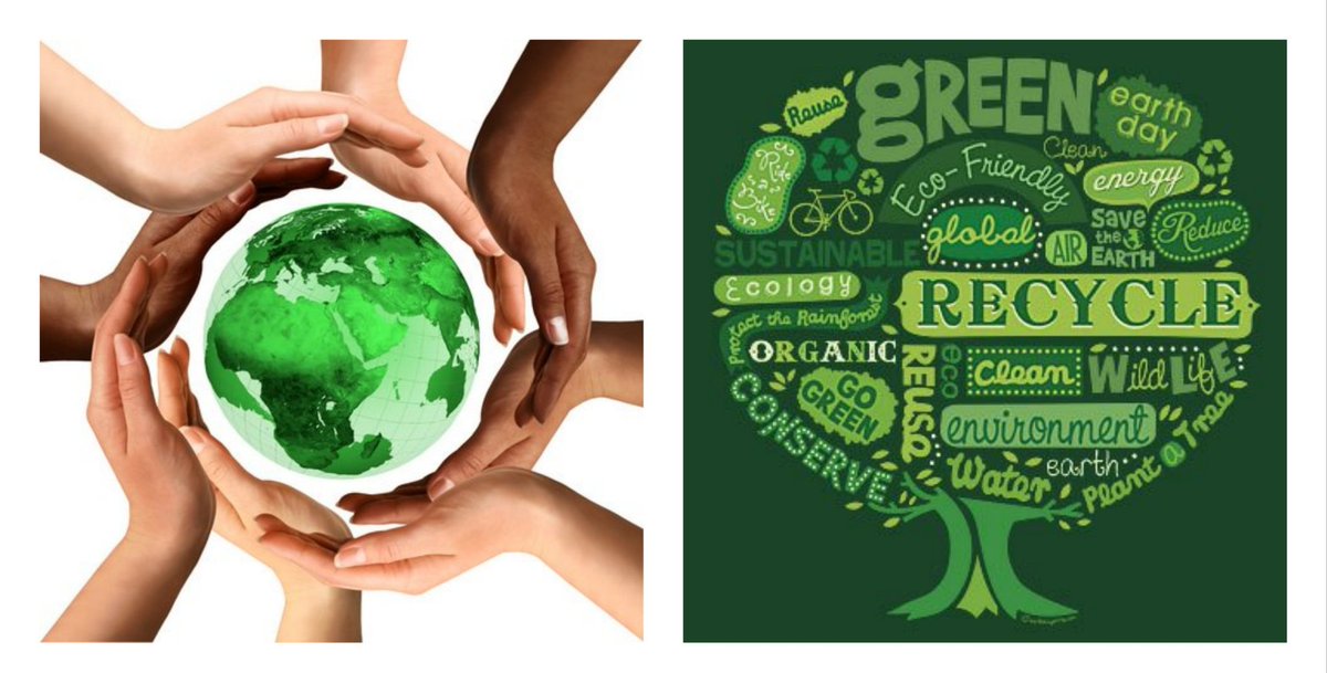 PROTECT ALL WILDLIFE tweet media