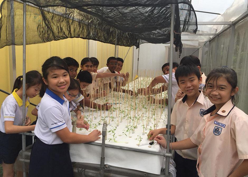 MOEsg's tweet photo. Learning about flora and fauna through hands-on activities at Loyang Primary: bit.ly2sF2WGM #WorldEnvironmentDay https://t.co/KAPF40Geao