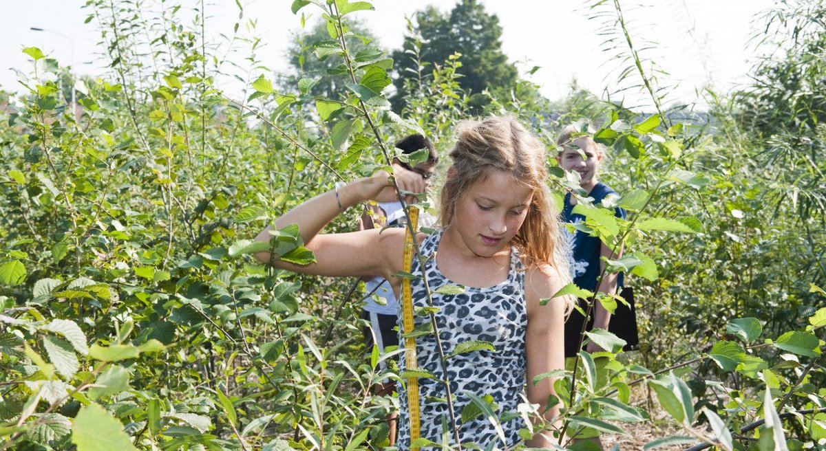 Gezocht: #gemeenten die de buurt willen #vergroenen met #TinyForest! 🌲🌳 IVN gaat 100 #TinyForests, #minibossen ter grootte van een tennisveld, aanleggen vóór 2021. Hiervoor zoeken wij 24 partnergemeenten, die zich vanaf vandaag kunnen aanmelden! goo.gl/jDcAkq