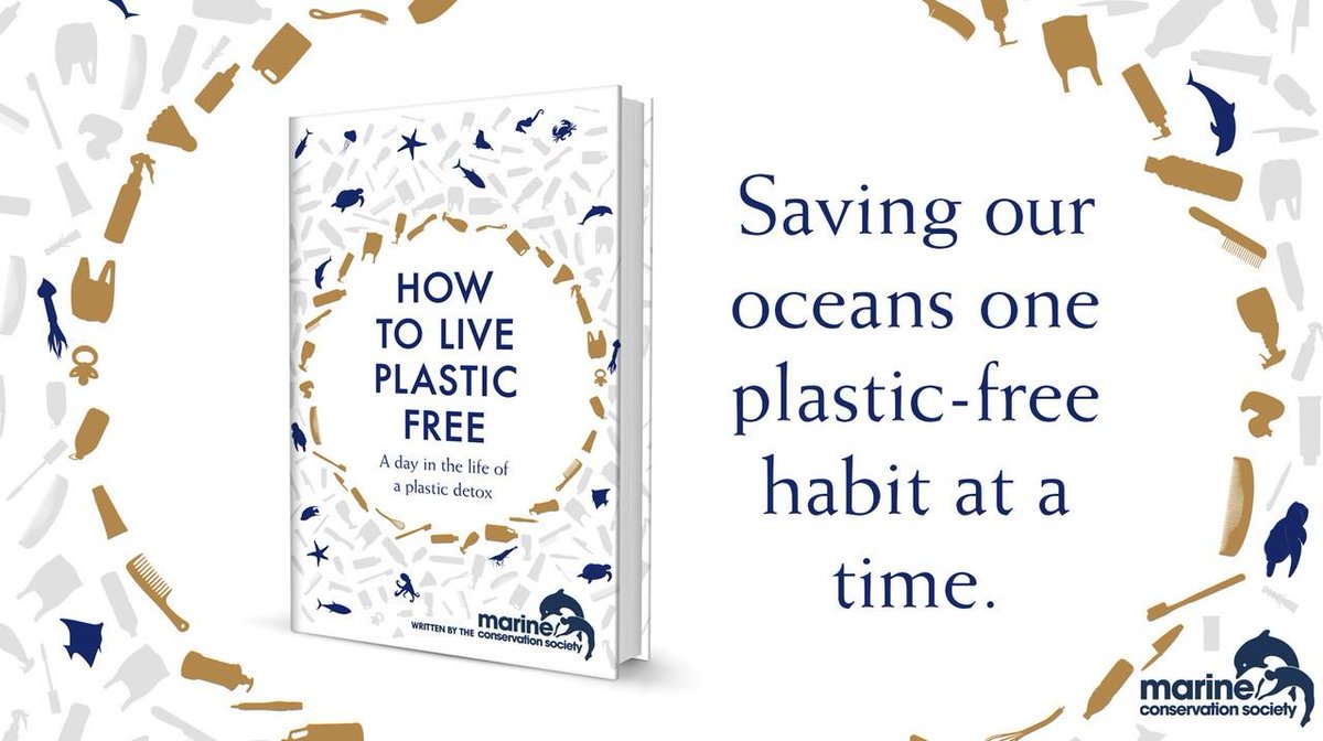 headlinepg's tweet photo. Making tiny changes to your lifestyle can make big changes to the future of our planet. #HowToLivePlasticFree gives you small tips that will make a big difference https://t.co/WPz91VMlr9 https://t.co/uebavJs7XZ