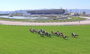 gamblin60112971's tweet photo. 馬券外したのに「予想は当たってた」って言い張る奴ｗｗｗｗｗｗｗｗｗｗｗｗｗｗｗｗｗｗｗｗ https://t.co/sOpRn47SHV https://t.co/SAxqMWUkyZ