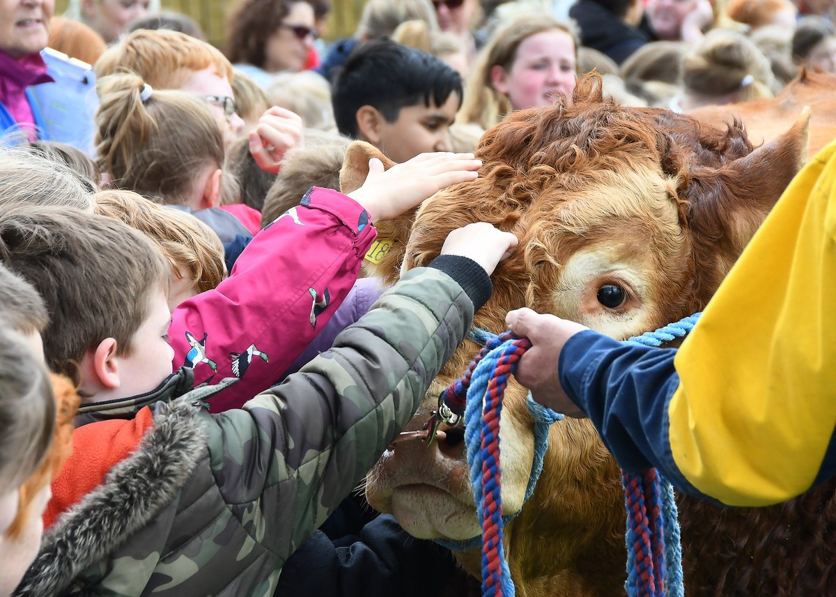 YorksAgSoc's tweet photo. Looking forward to welcoming school children from across #Yorkshire to our Countryside Days event on the @greatyorkshow ground, #Harrogate. Giving them the opportunity to experience all aspects of #food, #farming &amp; the #countryside https://t.co/5beWmJJo2W #charitytuesday https://t.co/GYzZgjc3Fs