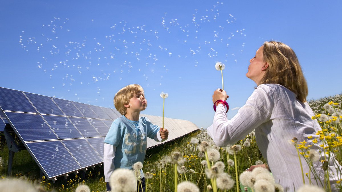 decoproteste's tweet photo. Hoje é o #diamundialdoambiente! Querem saber como usar mais #energias renováveis? Participem e esclareçam dúvidas na nossa comunidade em https://t.co/Vw753zFYw6 https://t.co/deAbP33HUw