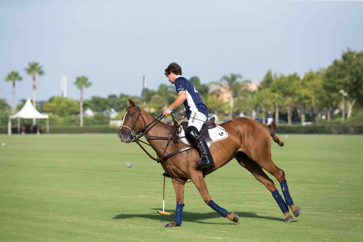 torneointerpolo's tweet photo. #torneointerpolo
August 2018 → 47 Torneo Internacional de Polo.
@ChukkerApp
https://t.co/K6vMWYeSpT   @SantaMariaPoloC
#sotogrande   #horse   #polo4thepeople
EnglisH:  @TorneoIntPol_EN  Photo: #snoopypolo https://t.co/hsAli3tyQJ