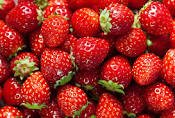 Keynsham farmers market this Saturday with Besley's Cheddar strawberries!
<a href="/KeynshamCouncil/">Keynsham Town Council</a> <a href="/keynshamvoice/">Keynshamvoice</a> <a href="/thsolicitors/">Thatcher + Hallam Solicitors</a> <a href="/KeynshamN/">KeynshamNow</a> <a href="/whatsonbristol/">Whats on Bristol</a>