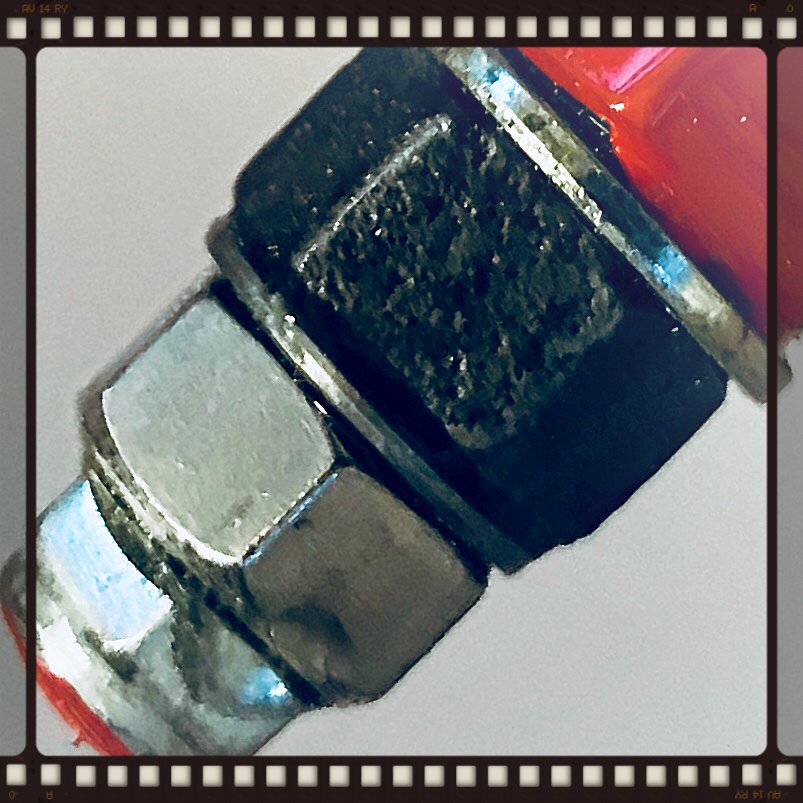 Portland Museum tweet media