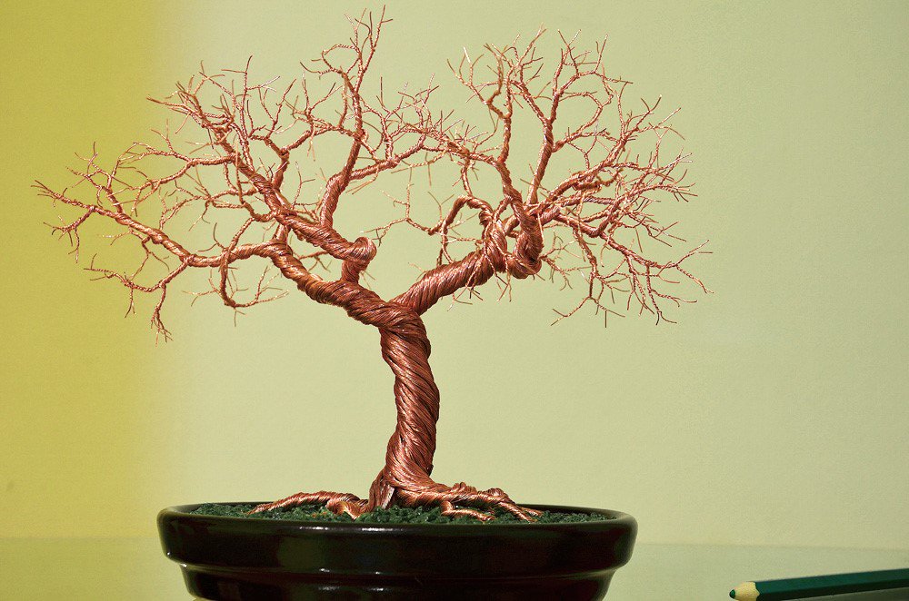 Anthea Harrison tweet media