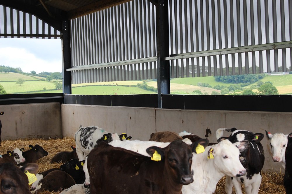 Light levels &amp; #ventilation into #livestock buildings are essential for optimum yields. Keep your stock cool with our perforated cladding. #agriculture #cladding #farming #profiledsheets #flashings #gutters #summer #keepcool #roofing #TPP