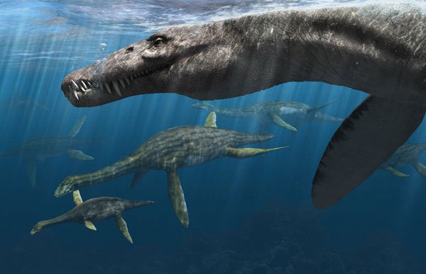 DIGS_for_EVEs's tweet photo. @Paleovirologist Also identified in the #Sphenodon genome - an endogenous #Hepadnavirus!
Implies that viruses related to hepatitis B virus infected the tuatara-plesiosaur lineage. #DIGSforEVEs https://t.co/HOb4Qfbt5f
