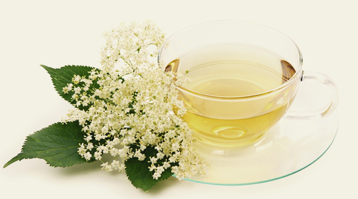 цветы бузины чай. бузинный чай. зеленый чай с бузиной. сок из цветков бузины. чай из бузины.