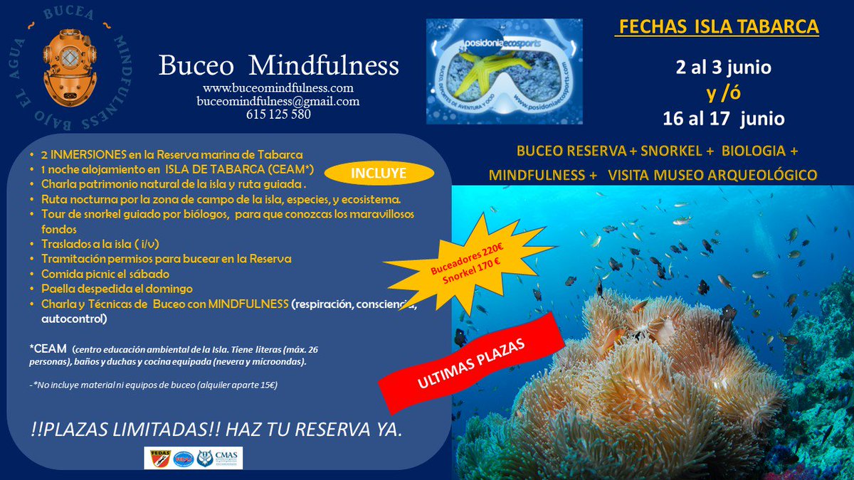 Ultimas plazas! No lo dejes para el final...🐙🦀🐋
#buceo #snorkel #buceomindfulness #playaysol #historia #biologia #amigos #aprender #rutas #islatabarca #alicante #valencia #findesemanadiferente