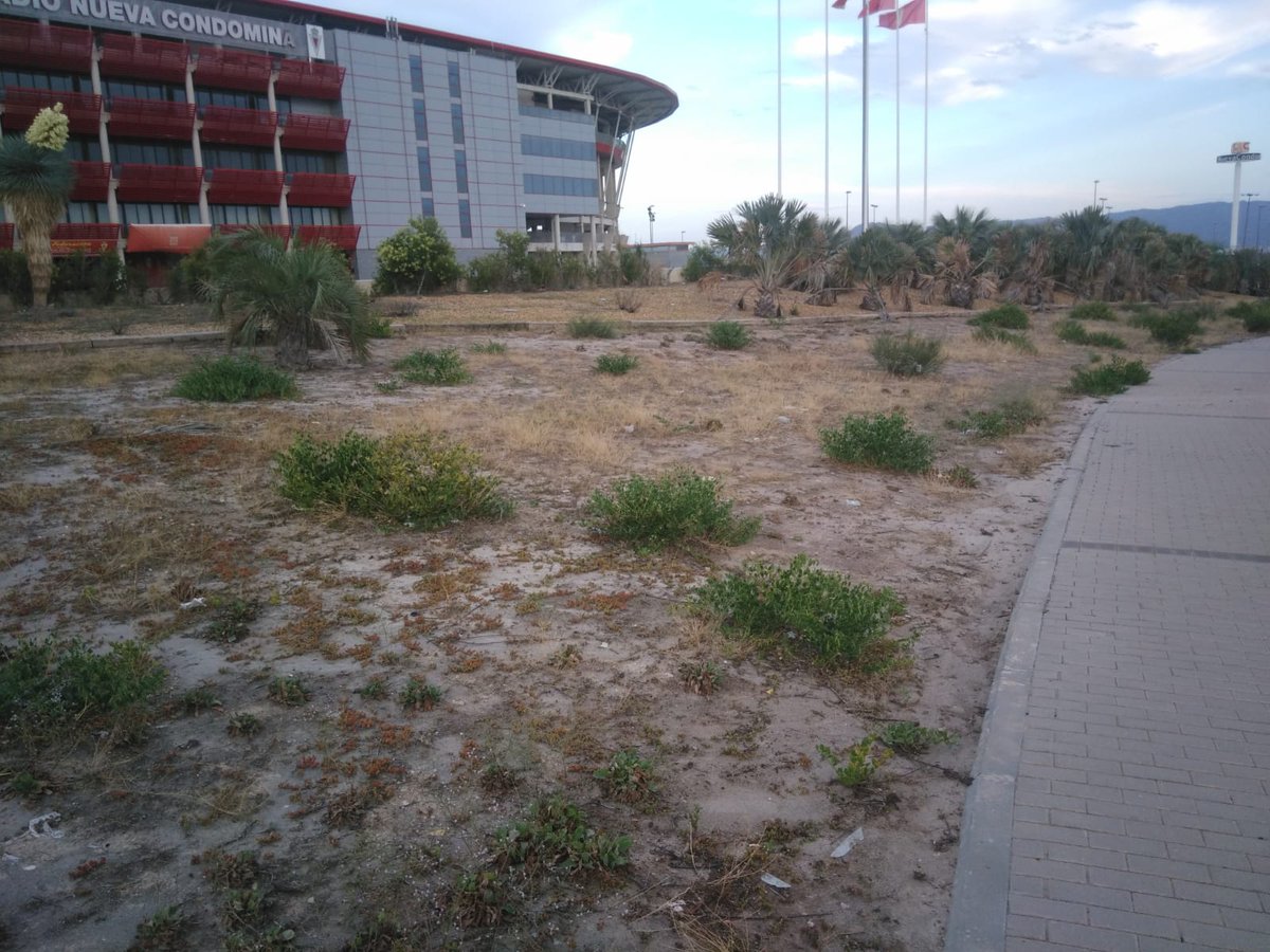 VictorMGoma's tweet photo. Viendo el continuo abandono y vergonzoso estado en el que se encuentran los alrededores del Estadio Nueva Condomina y los accesos hacia ella desde el año 2006, procedo a denunciarlo a través de ciertas fotos para ver si el @AytoMurcia toma medidas para solucionarlo de una vez (1) https://t.co/6fCDHQvKjq