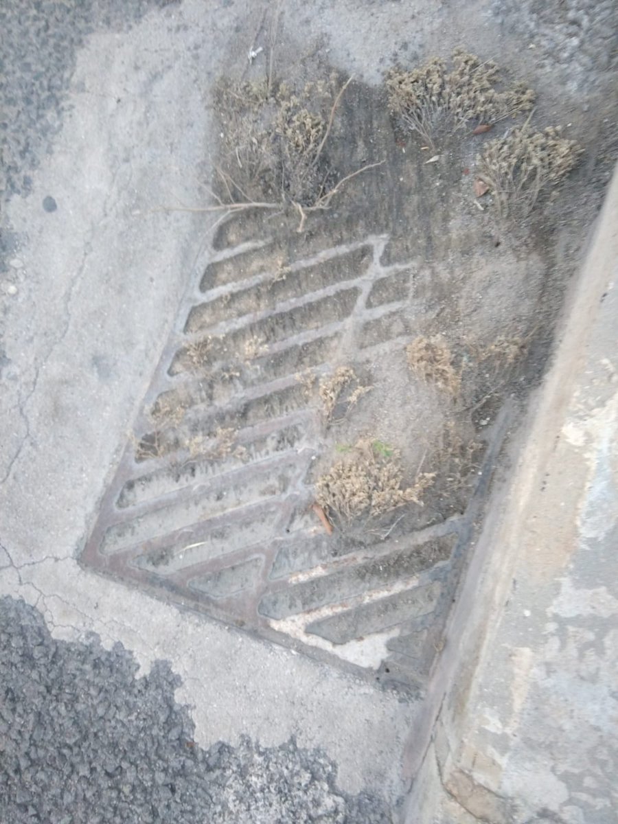 VictorMGoma's tweet photo. Jardines que parecen selvas, escaleras rotas, arbustos que impiden el aparcamiento, sumideros entaponados donde se crean balsas de agua al llover, farola reventada en el suelo, etc. Esta vergüenza no puede seguir ni un día más (2) @AytoMurcia @parquesdemurcia @MuCSostenible https://t.co/pVJvDfRkIT
