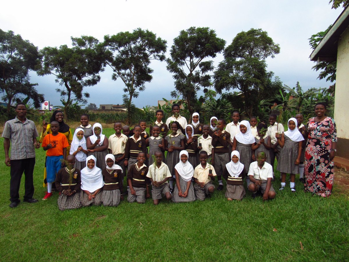 SchoolsTrees1's tweet photo. A Tree planting session conducted at Multiple Junior School - Jinja Uganda to mark the World Environment day. Greening Schools, Greening the future.#schoolstreeproject https://t.co/l7Ofhmhy23