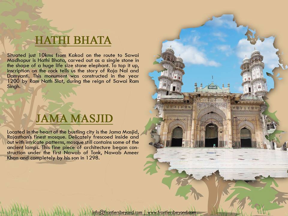 FrontiersBeyond's tweet photo. Sawai Madhopur - Ranthambhore #Ranthambore #SawaiMadhopur #NationalPark #TigerReserve #Wildlife #Heritage #BirdSpecies #Waterlilies #AmreshwarMahadev #Fort #Palaces #HathiBhata #JamaMasjid #KhandharFort #Shilpgram #RanthamboreNationalPark #Rajasthan #JungleSafari #RanthamboreFort https://t.co/tRvSdqoRLn