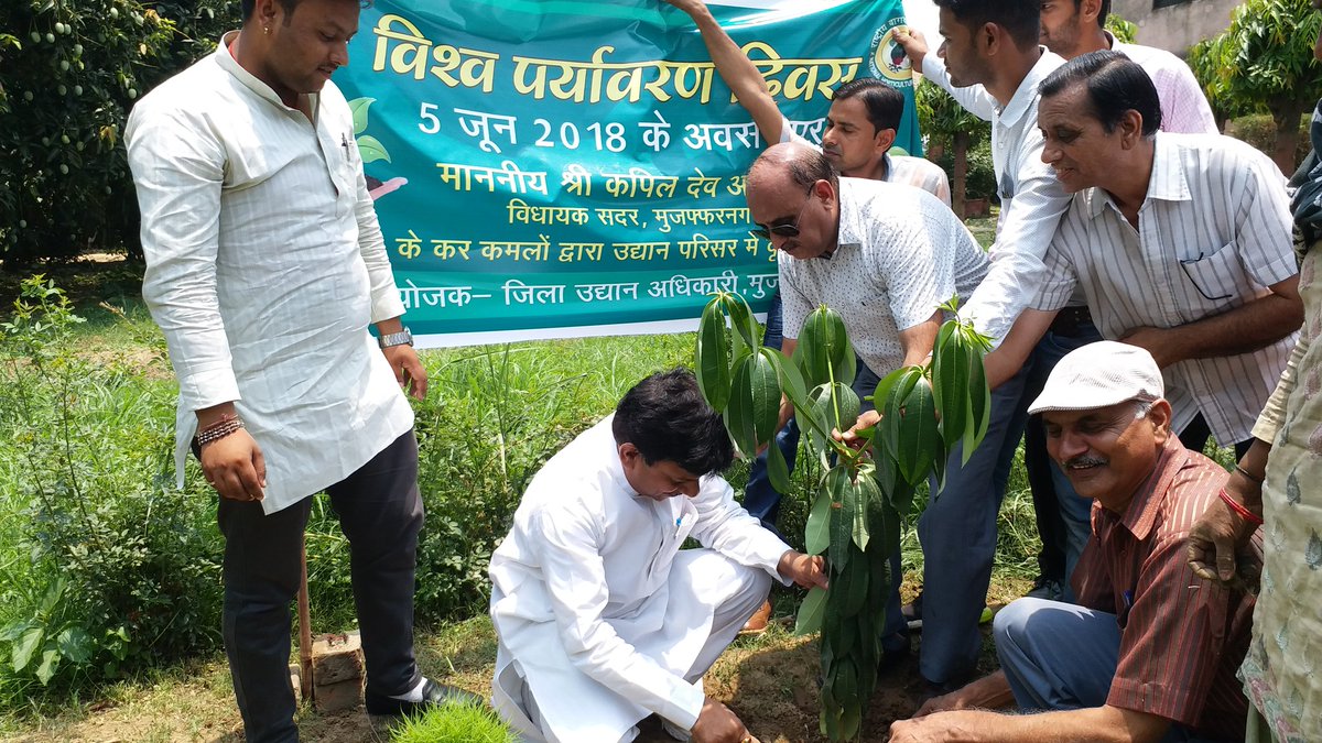 विश्व पर्यावरण दिवस पर पौधरोपण करते हुए ।
हरियाली से ही है खुशहाली ।