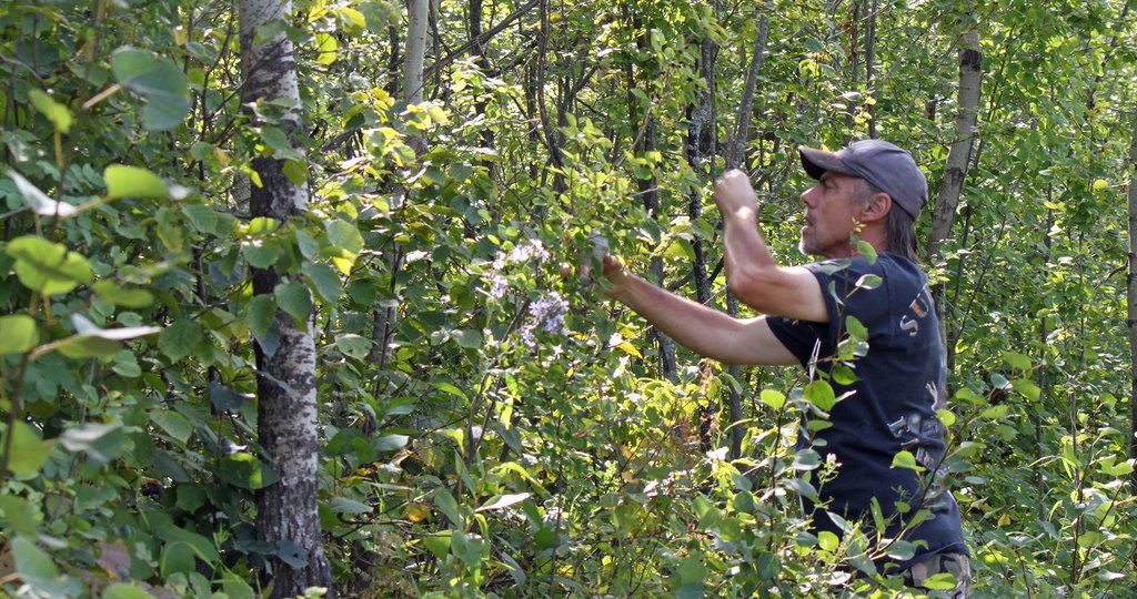Currently it's illegal to forage in National Parks. This <a href="/newfoodeconomy/">The New Food Economy is now The Counter</a> article says encouraging visitors to get more hands-on in nature is the best way to protect it. What's your opinion? Post in comments. ow.ly/S9zX30klJdx #forage #foraging #nationalparks #foragesf