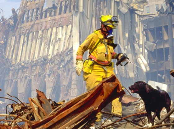 BlacklistedNews's tweet image. 9/11 Victims Battling Over 70 Forms of Cancer - Their Fate Is in Congress’ Hands : Eight Days After 9/11, Former Epa Administrator Christine Whitman Told New Yorkers That the Dust-filled Air That Filled New York City’s Skies Was Safe to Breathe dlvr.it/QWGQjQ