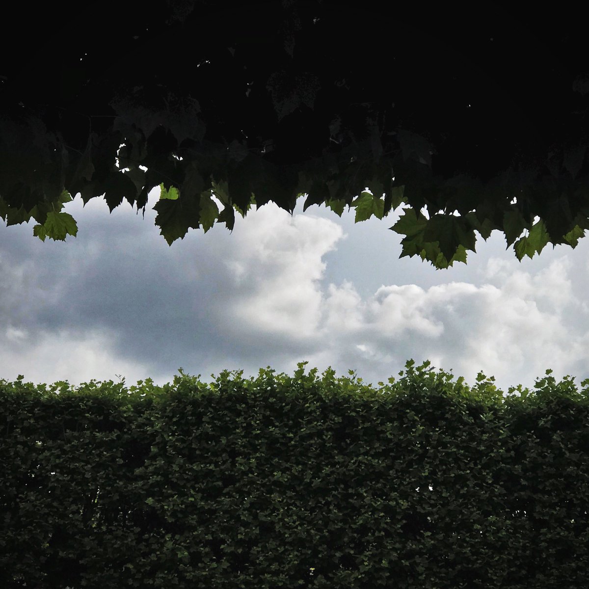 AtelierVoltaire's tweet image. Merci à Leslie Levi et Andrei Iarca pour leurs interprétations de Bach, Schubert, Massenet... et du duo de table de Mozart, si ludique et joyeux. Le bonheur dans le cadre somptueux des jardins de #HôtelDeRohan #ArchivesNationales 🤗 #RdvJardins