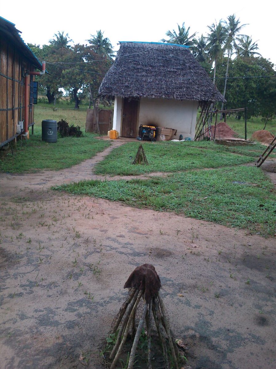 ShomotoRealtorz's tweet photo. Diani -Mabokoni Farm, SouthCoast 2 Acres, Near Mombasa Technical University, Mabokoni. 2Bdr Cabin House with water wells, freehold title. KES. 6.8Millions (Whole Parcel) #QuickSaleProperty #PrimePropertyForSale #DianiPropertiesHOTDEALS #SouthCoastHOTDEALS Retweet Please! https://t.co/aRFz3Pa6I5