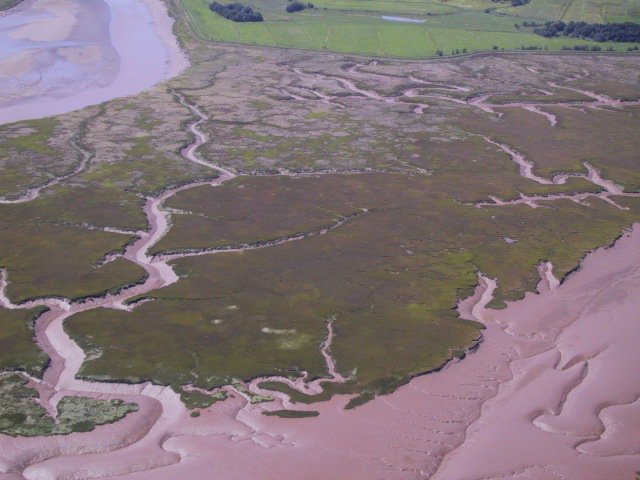 Back to tidal meanders & creeks. pic 1 shows loc (red square) of one of the biggest and best documented ones, located where the Cornwallis River enters Minas Basin. Pic 2 & 3 are aerial shots by me, pic 4 is an official air photo. More detail tomorrow.  #MinasBasinTidal