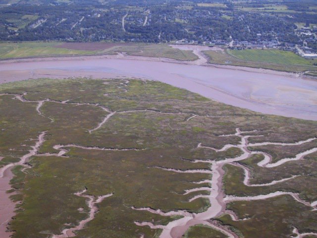 Back to tidal meanders & creeks. pic 1 shows loc (red square) of one of the biggest and best documented ones, located where the Cornwallis River enters Minas Basin. Pic 2 & 3 are aerial shots by me, pic 4 is an official air photo. More detail tomorrow.  #MinasBasinTidal