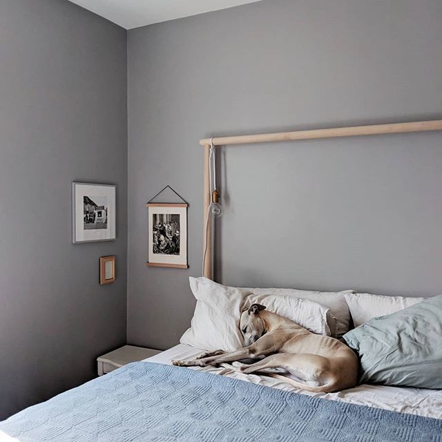 Back from our little cottage trip away, and you know that feeling of being tired after a holiday? Well yeh, I think I need another holiday hehe! If only life was a simply as it is for pups like @moto_thewhippet! 👅 #50shadesofourhome ift.tt/2M1Y0Ez