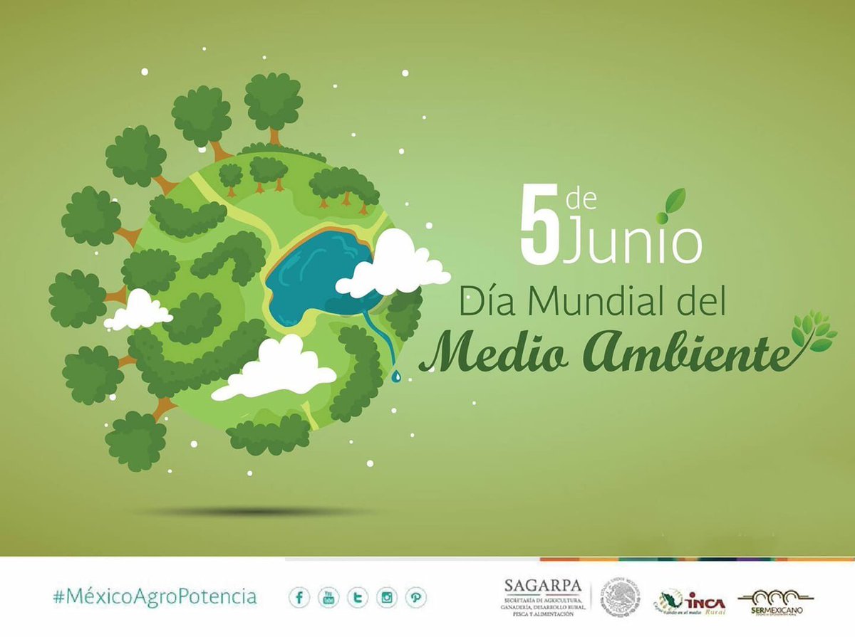 Extensionismo México (@extensionismomx) on Twitter photo Nuestro planeta es único y por eso debemos cuidarlo y respetarlo.
Di no a los plásticos!
Por un planeta sin plásticos
Día Mundial del Medio Ambiente 🌍💚 <a href="/BaltazarxTam/">Baltazar Hinojosa O.</a> Nuestro planeta es único y por eso debemos cuidarlo y respetarlo.
Di no a los plásticos!
Por un planeta sin plásticos
Día Mundial del Medio Ambiente 🌍💚 <a href="/BaltazarxTam/">Baltazar Hinojosa O.</a>