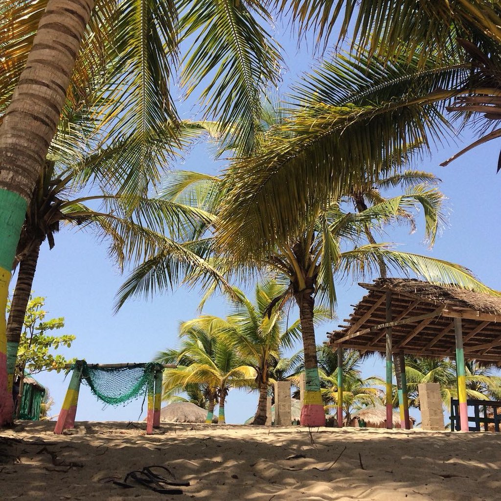 VixenArena's tweet photo. In a serene environment somewhere in Ghana.

#tripgh #seeghana #visitghana #tourismghana #travel #tourism #culturetrip #coastalareas https://t.co/De9wGifg4D
