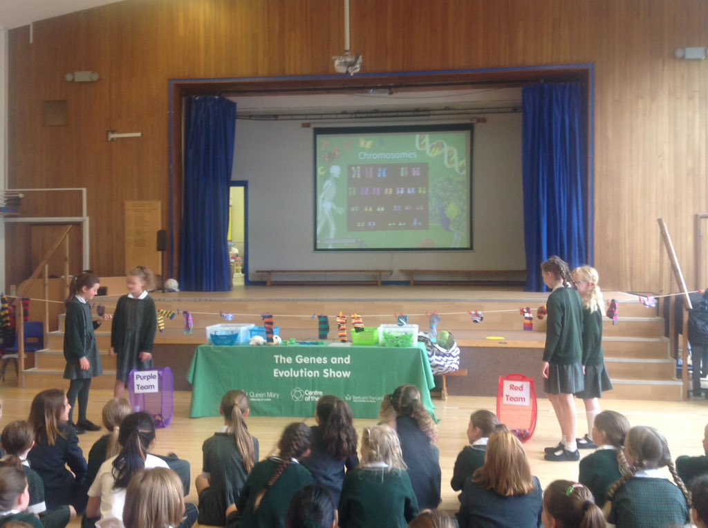 STEM at BHHS tweet media